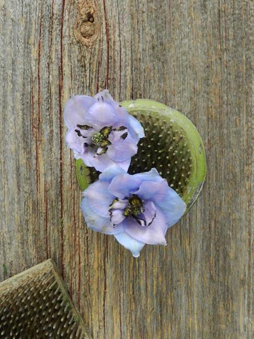 HYBRID  LAVENDER DELPHINIUM